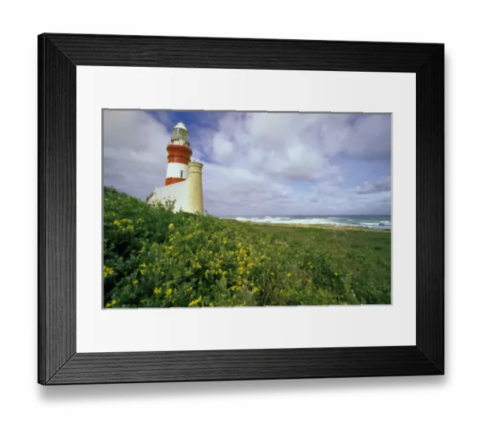 Framed Print : Africa, South Africa Framed Print : Africa, South Africa