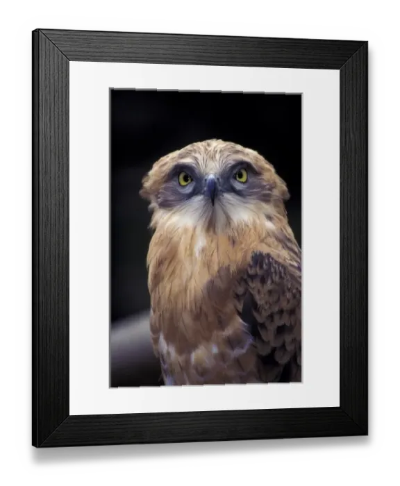 Framed Print : Africa, South Africa Framed Print : Africa, South Africa