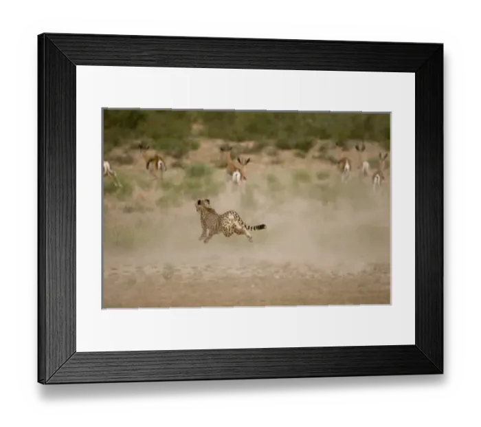 Framed Print : Africa, South Africa