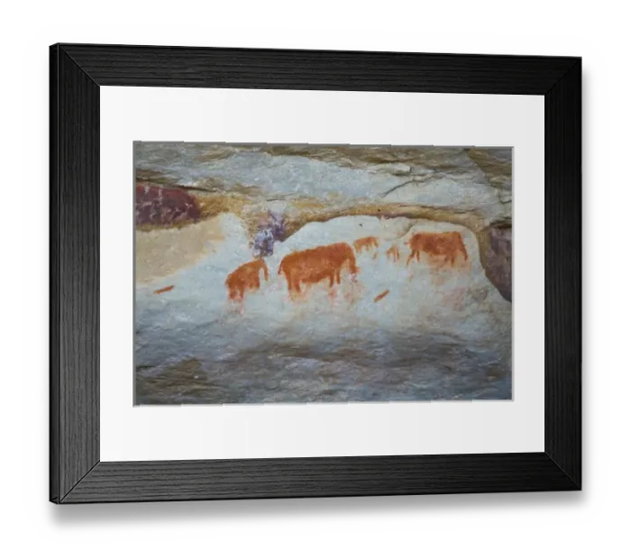 Framed Print : Rock paintings made by San Bushmen at Bushmans Kloof in Western Cape Province, South Africa Framed Print : Rock paintings made by San Bushmen at Bushmans Kloof in Western Cape Province, South Africa