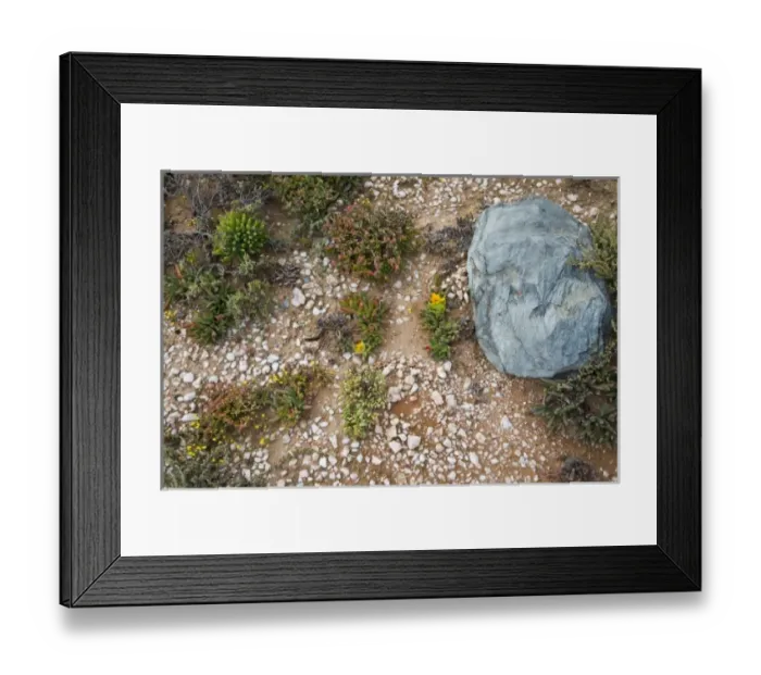Framed Print : Africa, South Africa Framed Print : Africa, South Africa