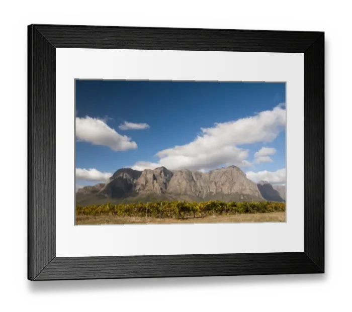 Framed Print : Zorgvliet Wine Estate, Stellenbosch, Cape Town, South Africa Framed Print : Zorgvliet Wine Estate, Stellenbosch, Cape Town, South Africa