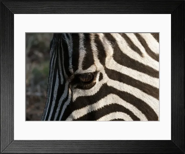 Framed Print : Africa, South Africa
