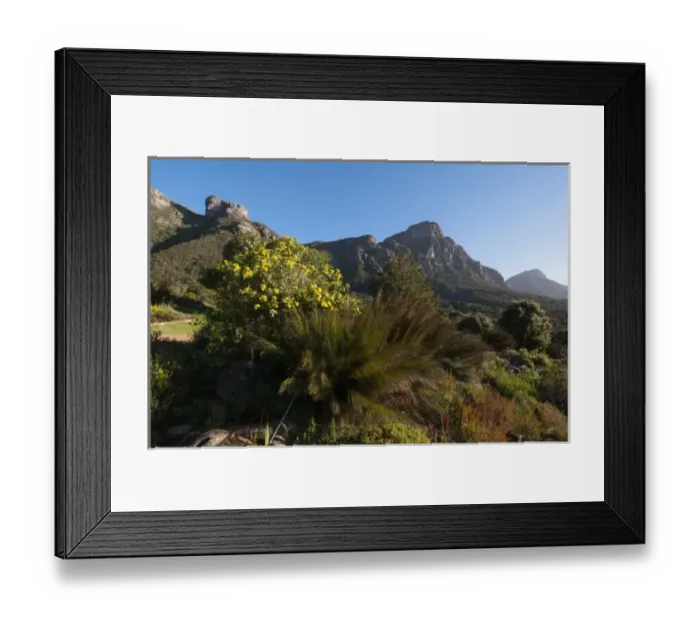 Framed Print : Kirstenbosch National Botanical Garden, Cape Town, South Africa