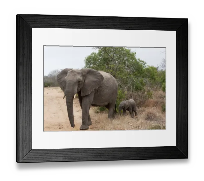 Framed Print : Africa, South Africa