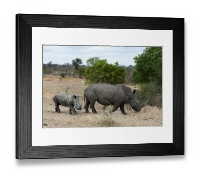 Framed Print : Africa, South Africa Framed Print : Africa, South Africa