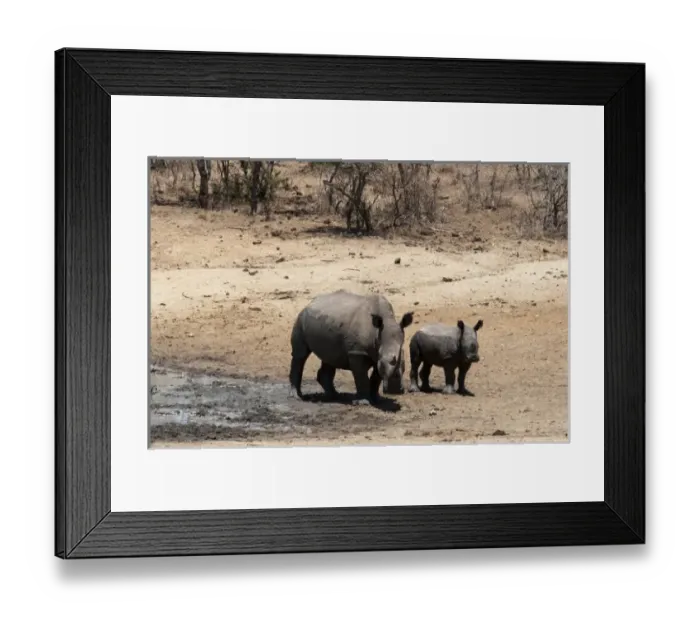 Framed Print : Africa, South Africa Framed Print : Africa, South Africa