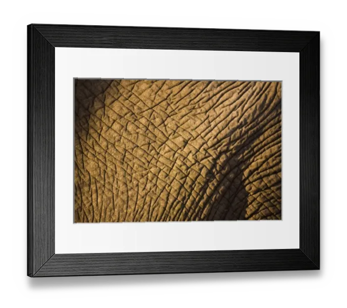 Framed Print : Africa, South Africa Framed Print : Africa, South Africa