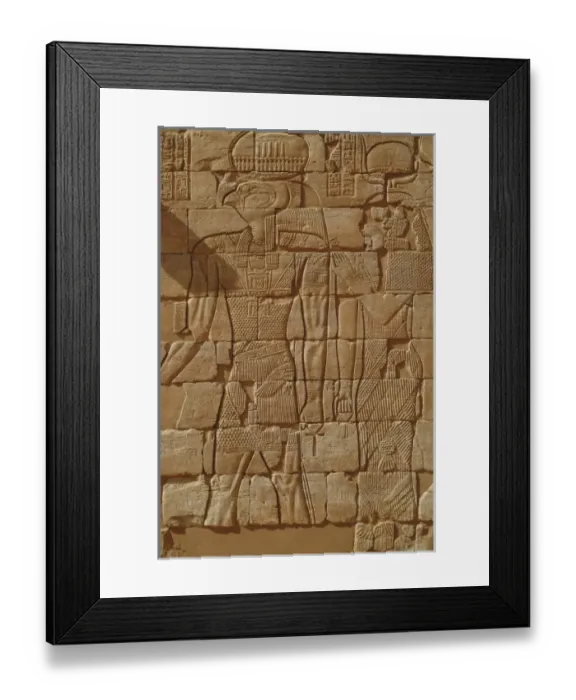 Framed Print : Sudan, North (Nubia), Bas-relief of Horus in Kom Ombo Temple Framed Print : Sudan, North (Nubia), Bas-relief of Horus in Kom Ombo Temple