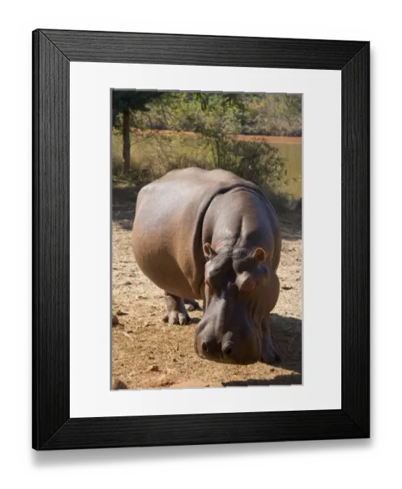 Framed Print : Africa, Swaziland Framed Print : Africa, Swaziland