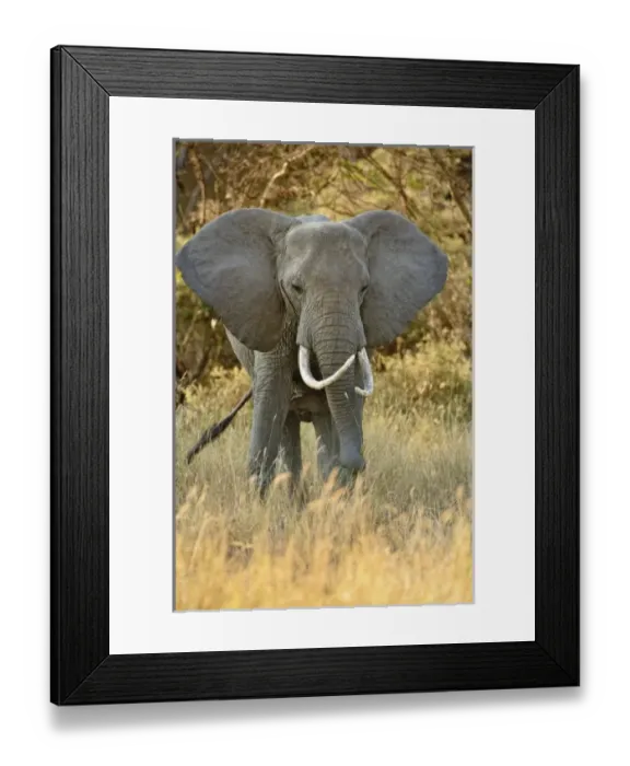 Framed Print : Africa, Tanzania