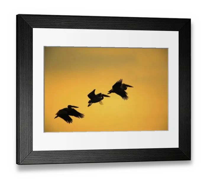 Framed Print : Africa, Tanzania Framed Print : Africa, Tanzania