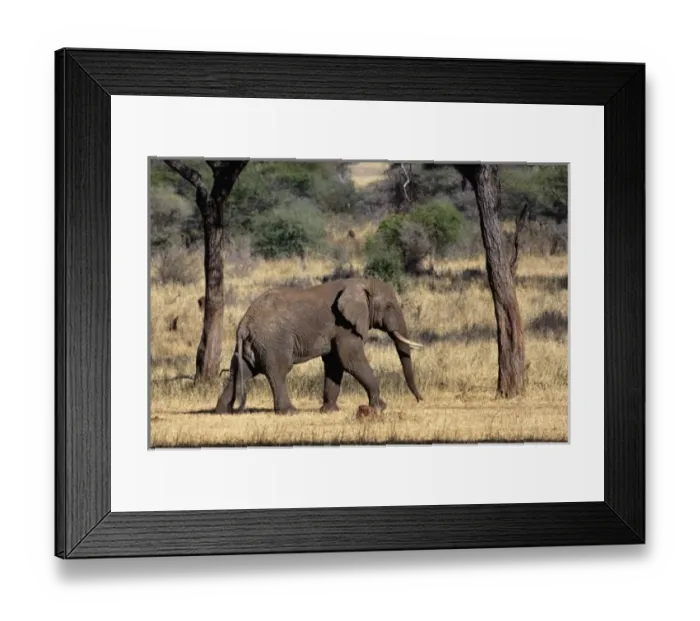 Framed Print : Africa, Tanzania Framed Print : Africa, Tanzania