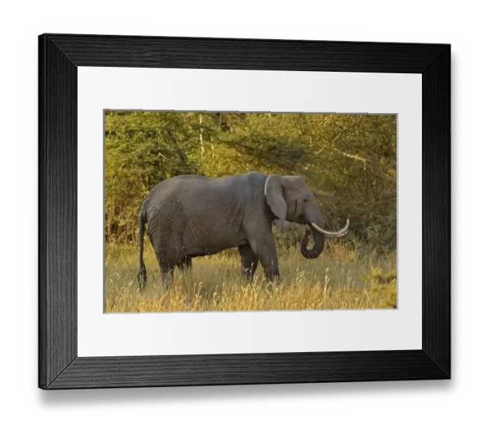 Framed Print : Africa, Tanzania