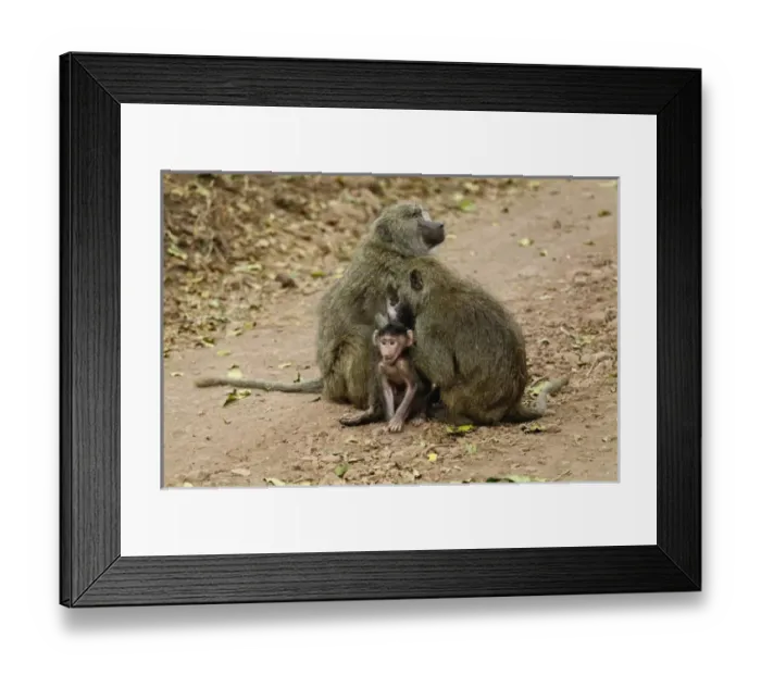Framed Print : Africa, Tanzania