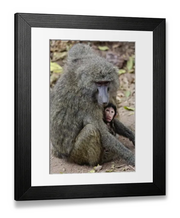 Framed Print : Africa, Tanzania