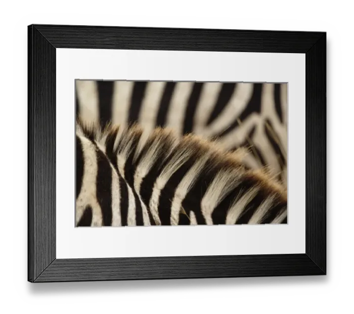 Framed Print : Africa, Tanzania Framed Print : Africa, Tanzania