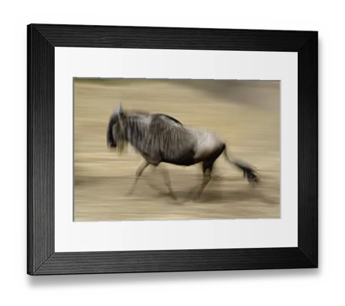 Framed Print : Africa, Tanzania Framed Print : Africa, Tanzania