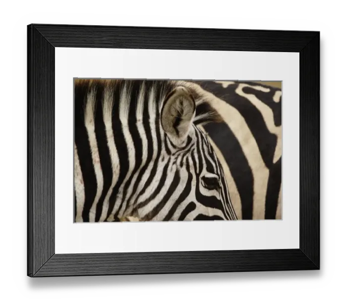 Framed Print : Africa, Tanzania Framed Print : Africa, Tanzania