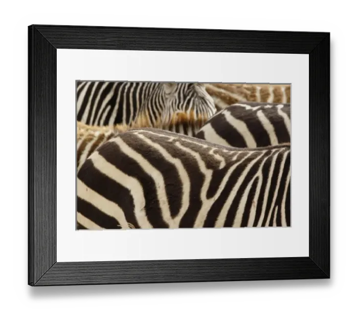 Framed Print : Africa, Tanzania Framed Print : Africa, Tanzania