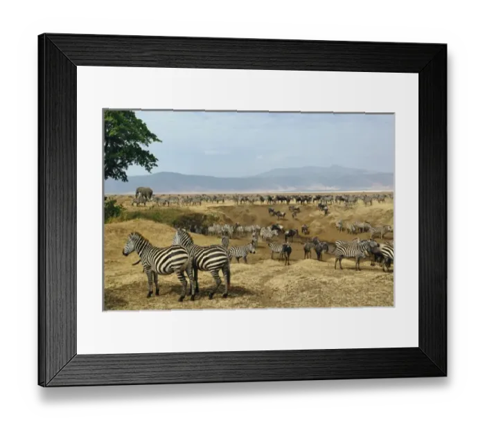 Framed Print : Africa, Tanzania