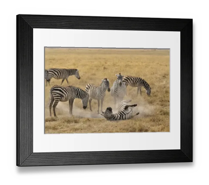 Framed Print : Africa, Tanzania Framed Print : Africa, Tanzania