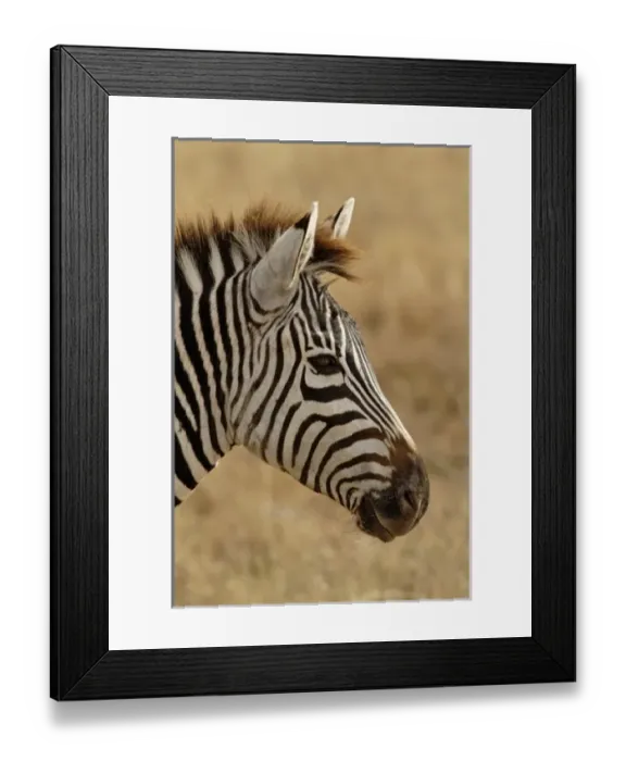 Framed Print : Africa, Tanzania Framed Print : Africa, Tanzania