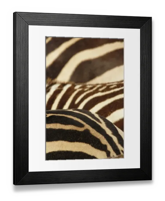 Framed Print : Africa, Tanzania Framed Print : Africa, Tanzania