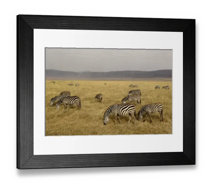 Framed Print : Africa, Tanzania Framed Print : Africa, Tanzania