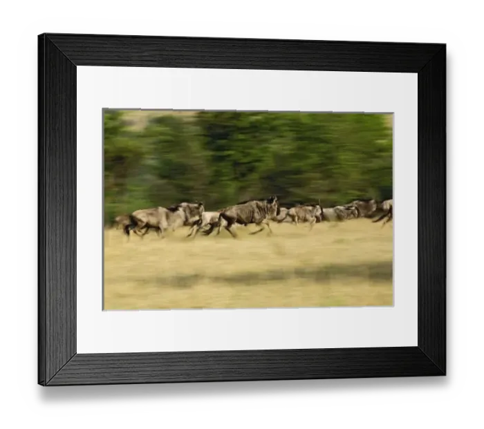 Framed Print : Africa, Tanzania