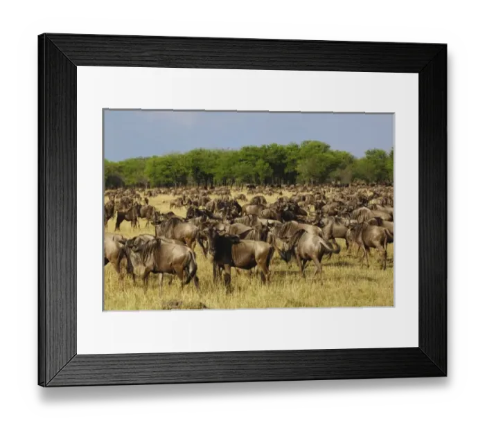 Framed Print : Africa, Tanzania Framed Print : Africa, Tanzania