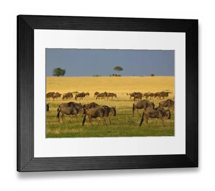 Framed Print : Africa, Tanzania Framed Print : Africa, Tanzania