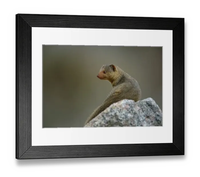 Framed Print : Africa, Tanzania Framed Print : Africa, Tanzania