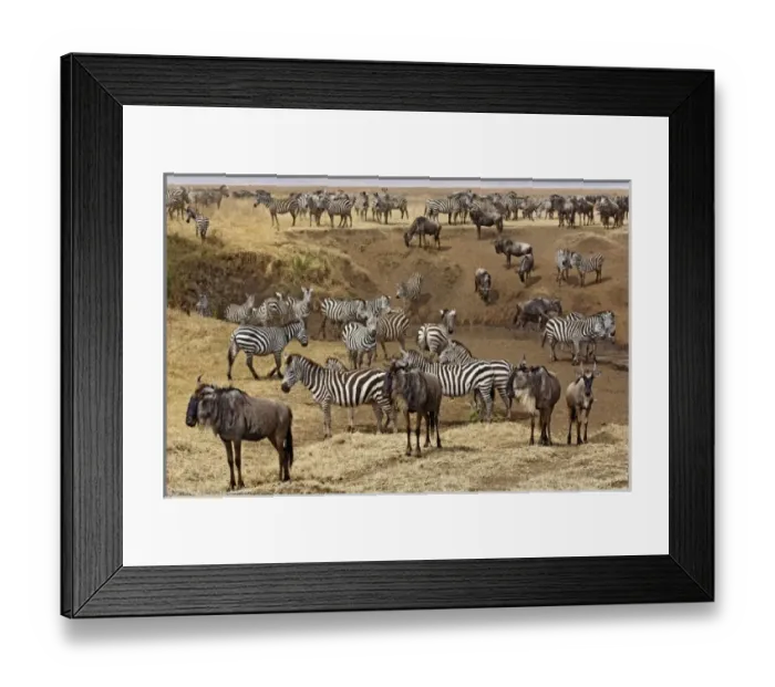 Framed Print : Africa, Tanzania