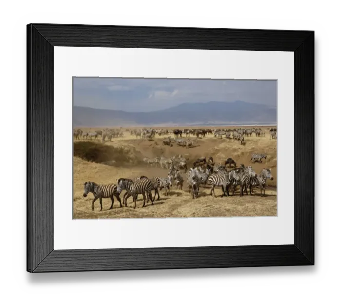 Framed Print : Africa, Tanzania Framed Print : Africa, Tanzania