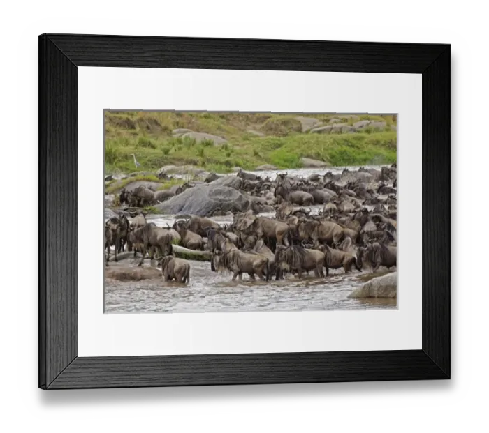 Framed Print : Africa, Tanzania