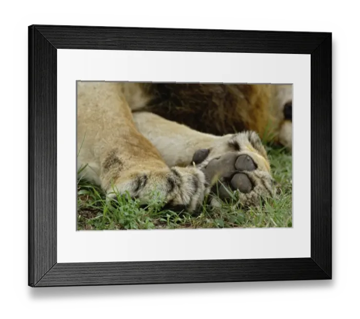 Framed Print : Africa, Tanzania Framed Print : Africa, Tanzania