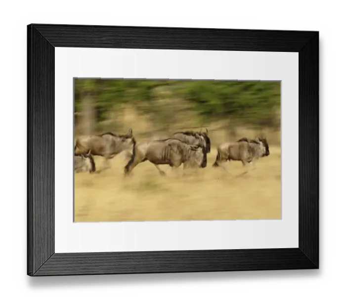 Framed Print : Africa, Tanzania Framed Print : Africa, Tanzania