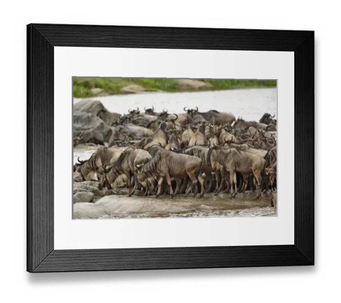 Framed Print : Africa, Tanzania