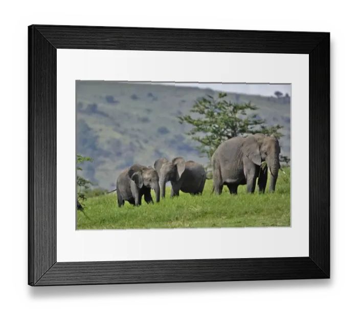 Framed Print : Africa, Tanzania Framed Print : Africa, Tanzania