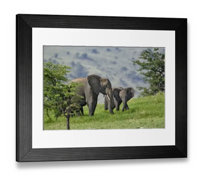Framed Print : Africa, Tanzania