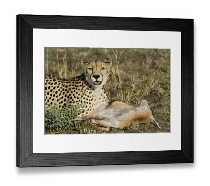 Framed Print : Africa, Tanzania