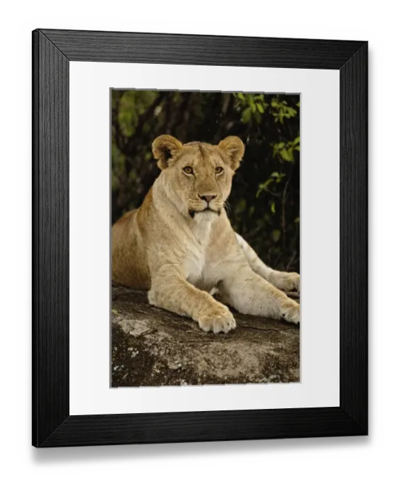 Framed Print : Africa, Tanzania