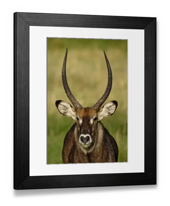 Framed Print : Africa, Tanzania Framed Print : Africa, Tanzania