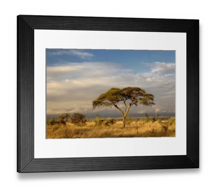 Framed Print : Africa, Tanzania Framed Print : Africa, Tanzania