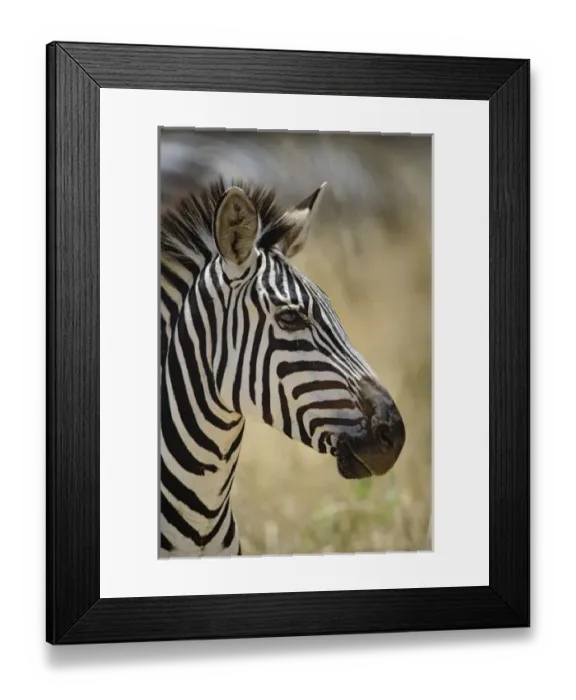 Framed Print : Africa, Tanzania Framed Print : Africa, Tanzania