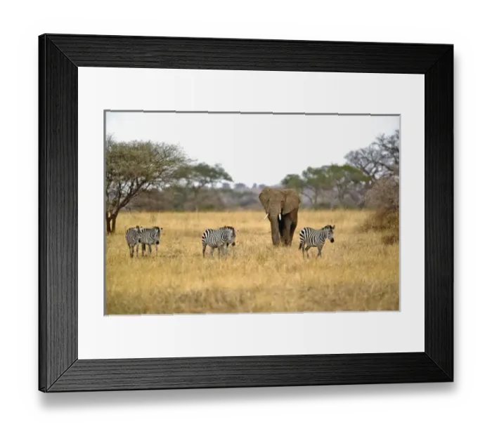 Framed Print : Africa, Tanzania Framed Print : Africa, Tanzania