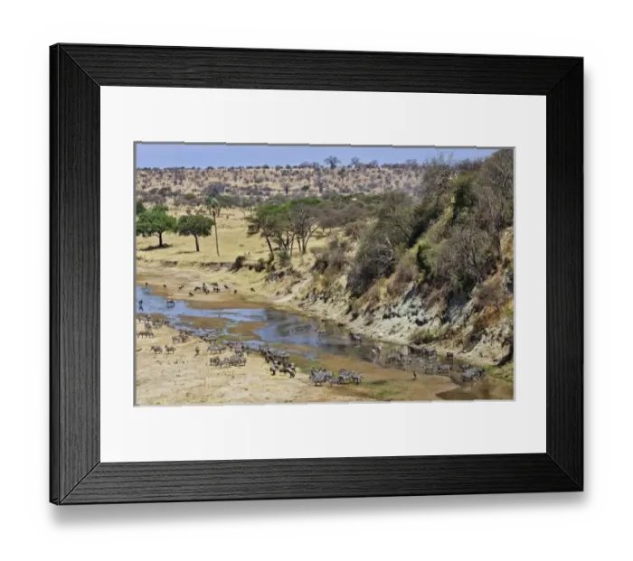 Framed Print : Africa, Tanzania