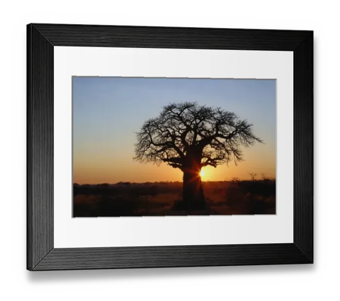 Framed Print : Africa, Tanzania