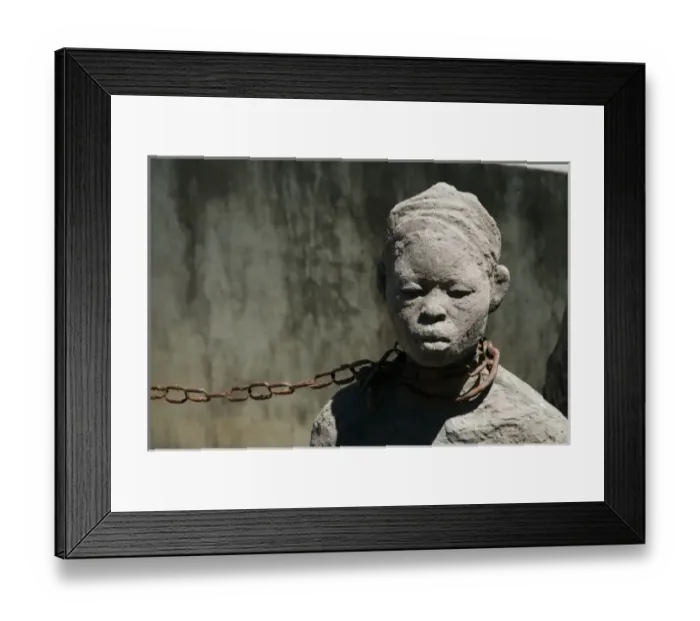 Framed Print : Africa, Tanzania